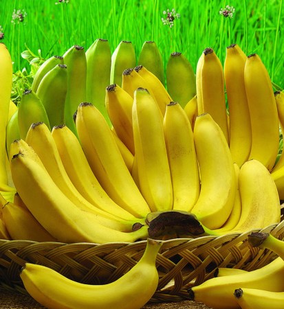 Chuối già hương - Công Ty TNHH Fresh Banana